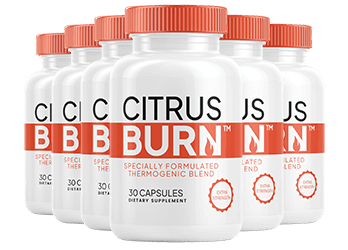 CitrusBurn 6 Bottle